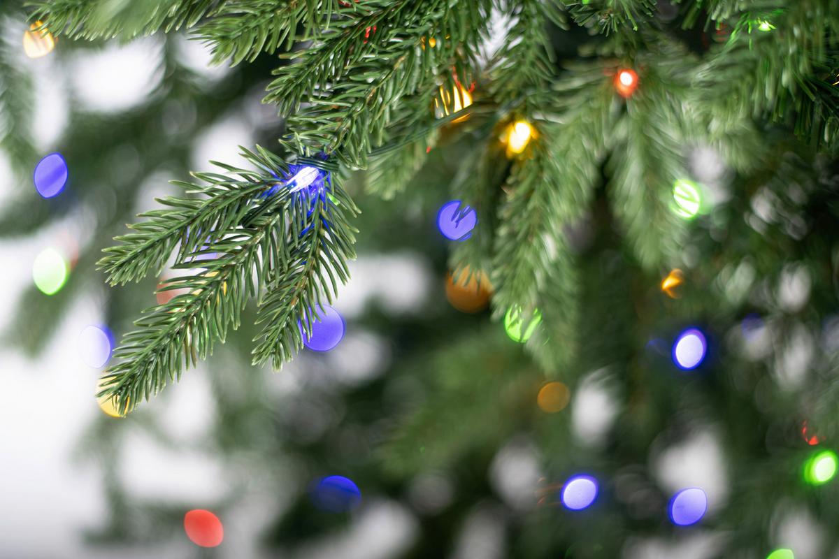 Weihnachtsbaum Evergreen Sherwood Grün H: ca. 210cm - Waldgrün, Basics, Kunststoff (134/210cm)