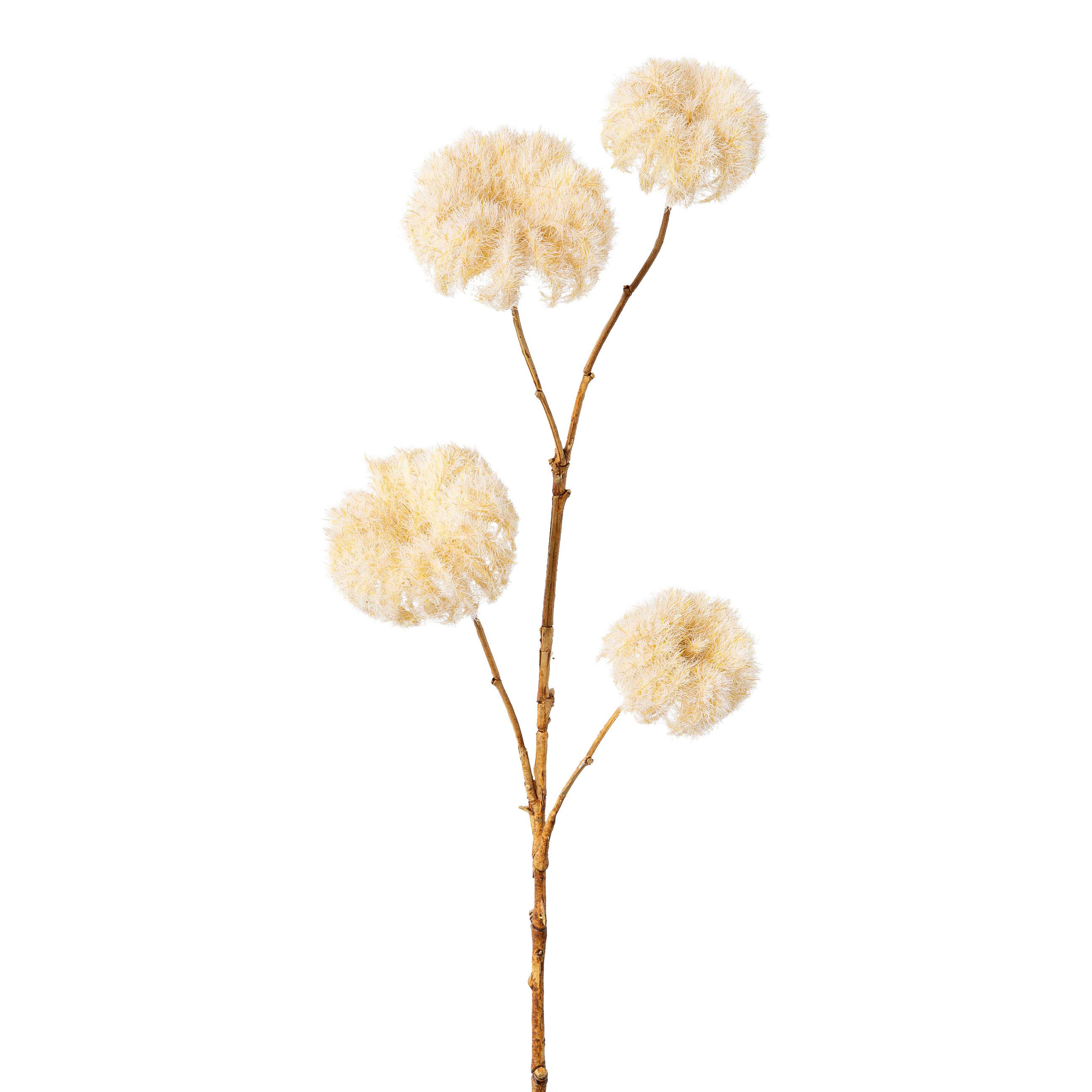 Dekozweig Clemaiszweig I Creme - Creme, KONVENTIONELL, Kunststoff (68cm) - Modern Living