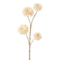 Dekozweig Clemaiszweig I Creme - Creme, KONVENTIONELL, Kunststoff (68cm) - Modern Living