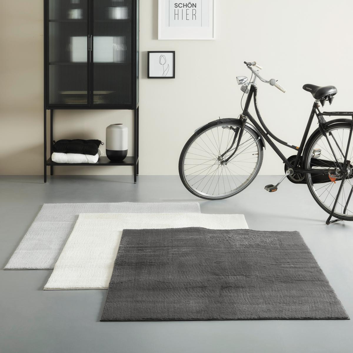 Preproga Z Visokim Florom Nemo 3 - siva, Basics, tekstil (120/170cm) - Mömax