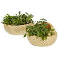 Dekokorb Georgia Naturfarben - Naturfarben, Holz (28/11cm) - MÖMAX modern living