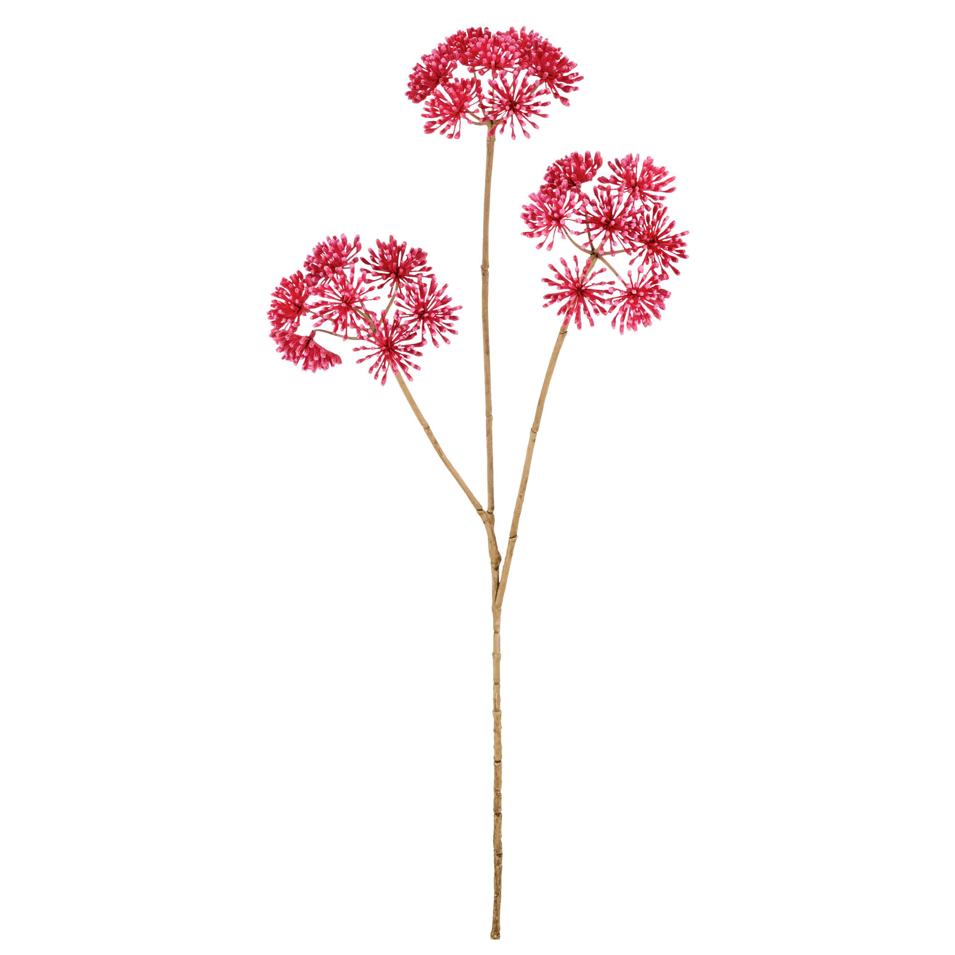 Kunstblume Heracleum I Pink ca. 75cm - Pink/Creme, Basics, Kunststoff/Textil (75cm) - Mömax