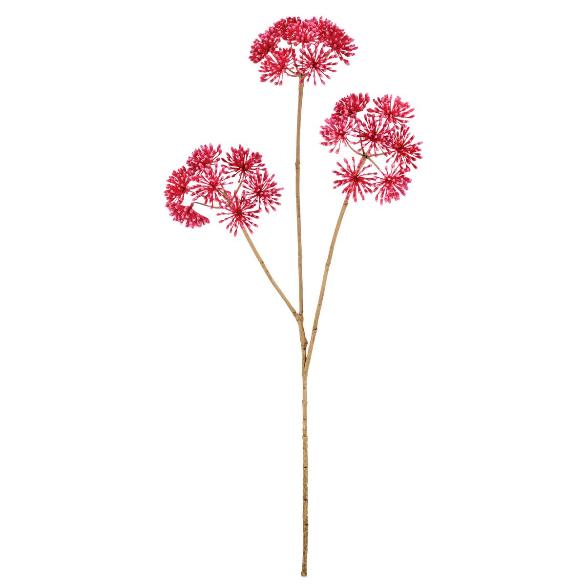 Kunstblume Heracleum I Pink ca. 75cm - Pink/Creme, Basics, Kunststoff/Textil (75cm) - Mömax
