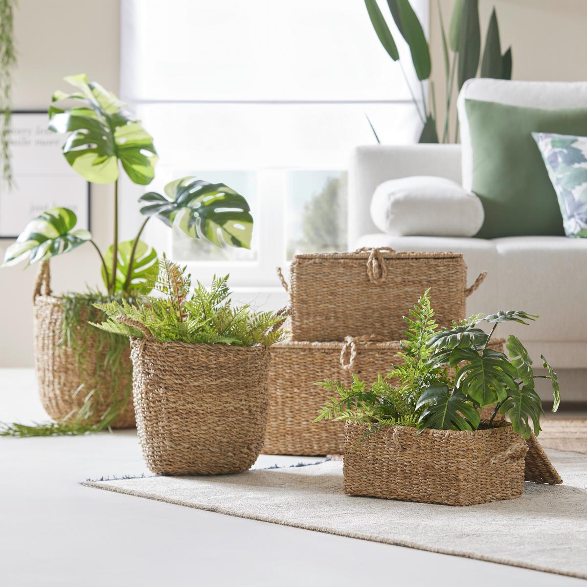 Plantă artificială MONSTERA DELICIOSA I -PAZ- - alb/verde, Basics, plastic (95cm) - Premium Living
