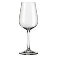 Weißweinglas Norma ca. 360ml - Klar, MODERN, Glas (0,36l) - BOHEMIA