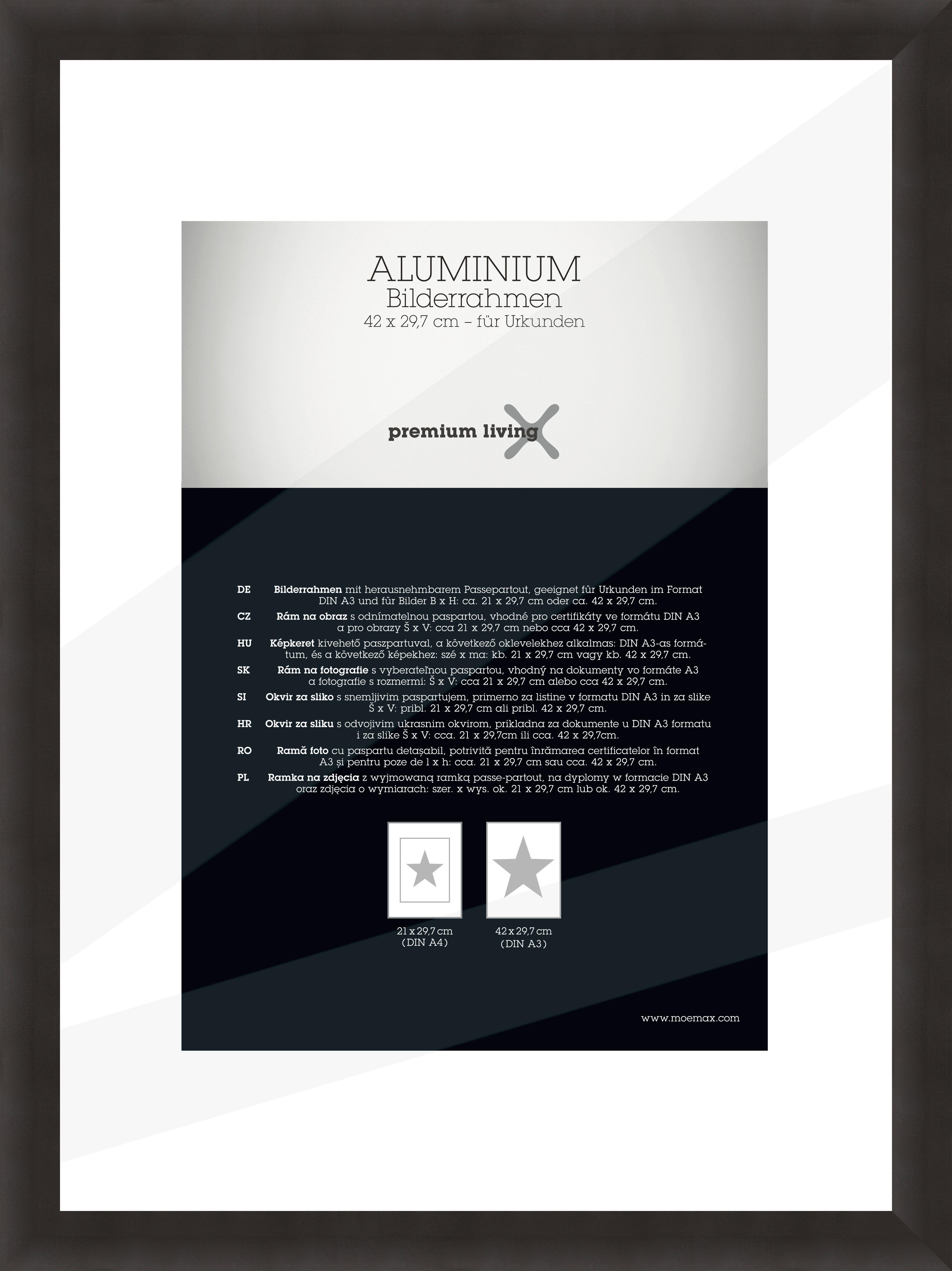 Okvir Za Slike Aluminium - crna, Basics, metal (32,8/45,1/2.2cm) - Premium Living