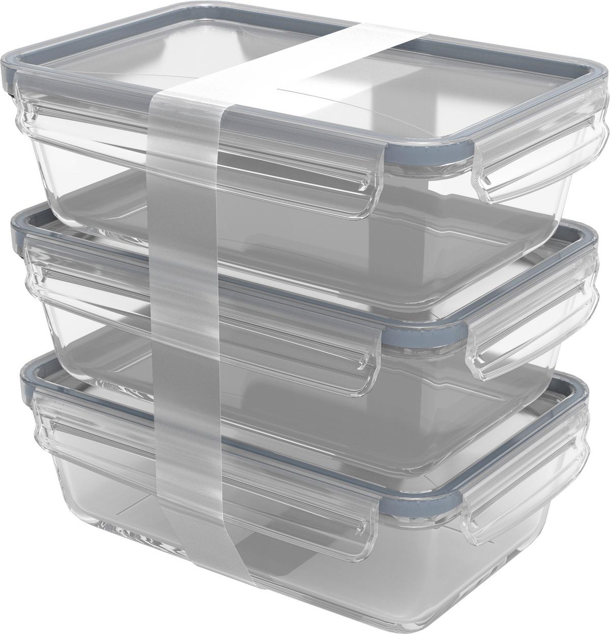 ZESTAW POJEMNIKÓW DO ŻYWNOŚCI 1051406161 3 SZT - Basics (24/16,5/22,8cm) - Rotho