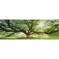 Glasbild Big Tree, ca. 33x98x2cm - Multicolor, ROMANTIK / LANDHAUS, Glas (33/98/2cm)
