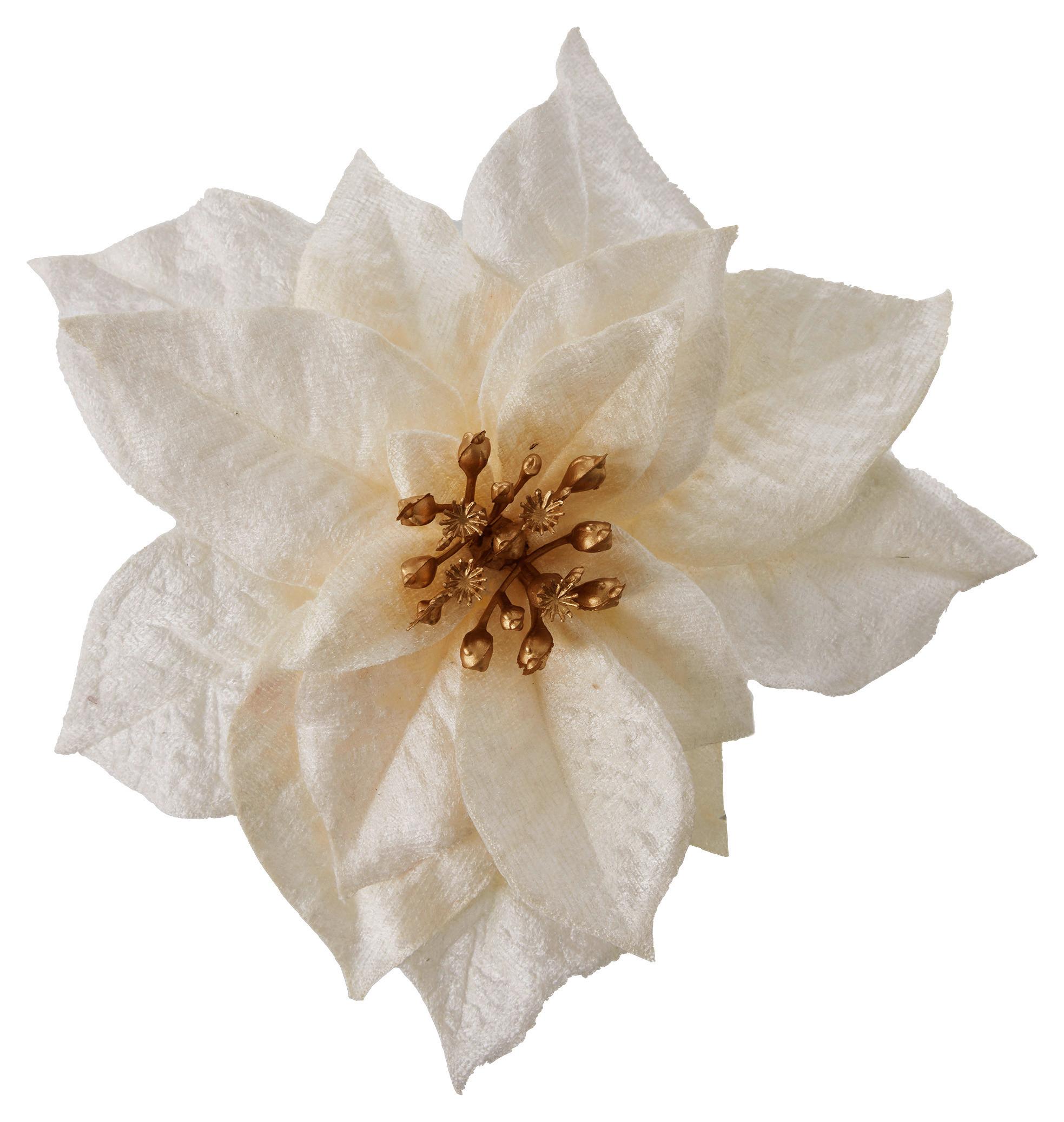 Dekoblume Poinsetienblüte I Creme - krem, Konvencionalno, plastika (18cm) - Modern Living