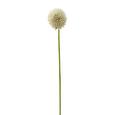 Okrasna Veja Romeo - naravna/zelena, umetna masa (92cm) Okrasna Veja Romeo - naravna/zelena, umetna masa (92cm)