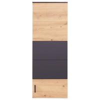 Viseča Omarica Tonale, Temno Siva, Barva Hrasta - črna/siva, Moderno, umetna masa/leseni material (40,4/111/33cm) - Mömax