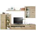 Wohnwand Eichefarben - Eichefarben/Hellgrau, KONVENTIONELL, Glas/Holzwerkstoff (300/200,9/41cm) - MÖMAX modern living