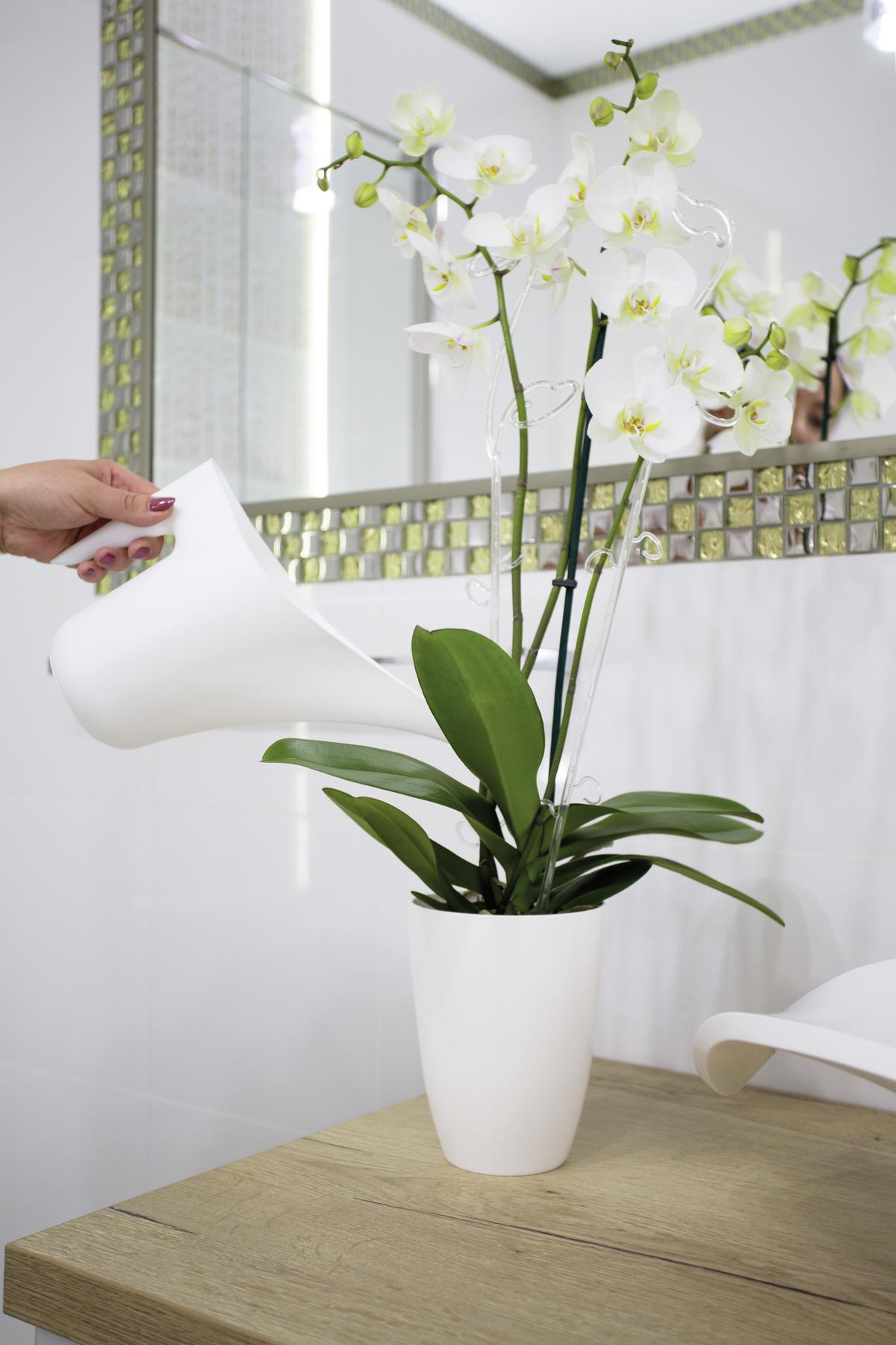 Locsolókanna Desegnio - fehér, Konventionell, műanyag (1,2l) - Modern Living