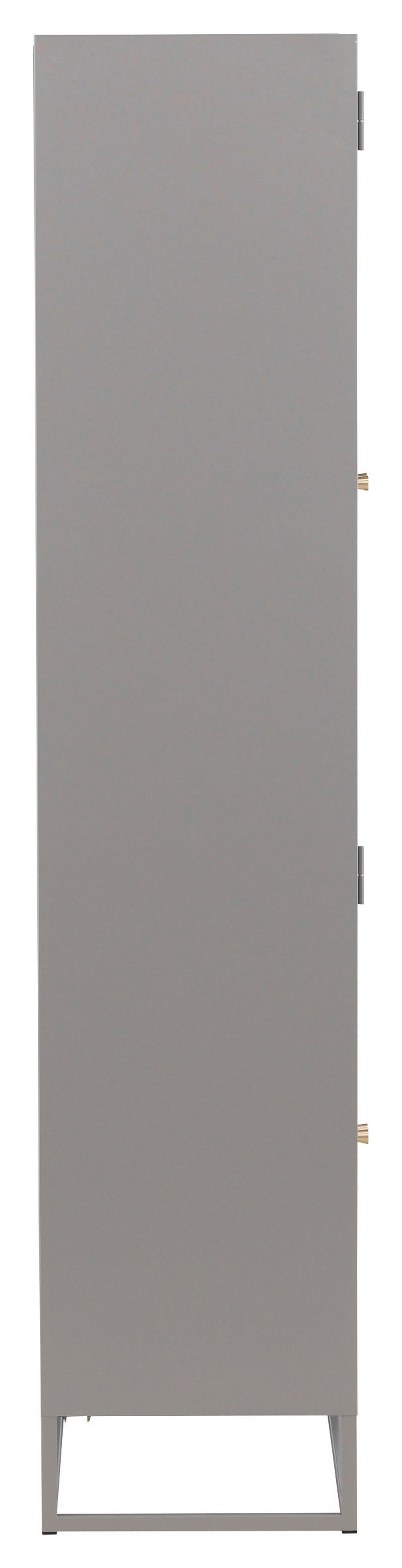 VITRINE BAKAL - Hellgrau, Design, Glas/Metall (80/190/41cm) - Livetastic