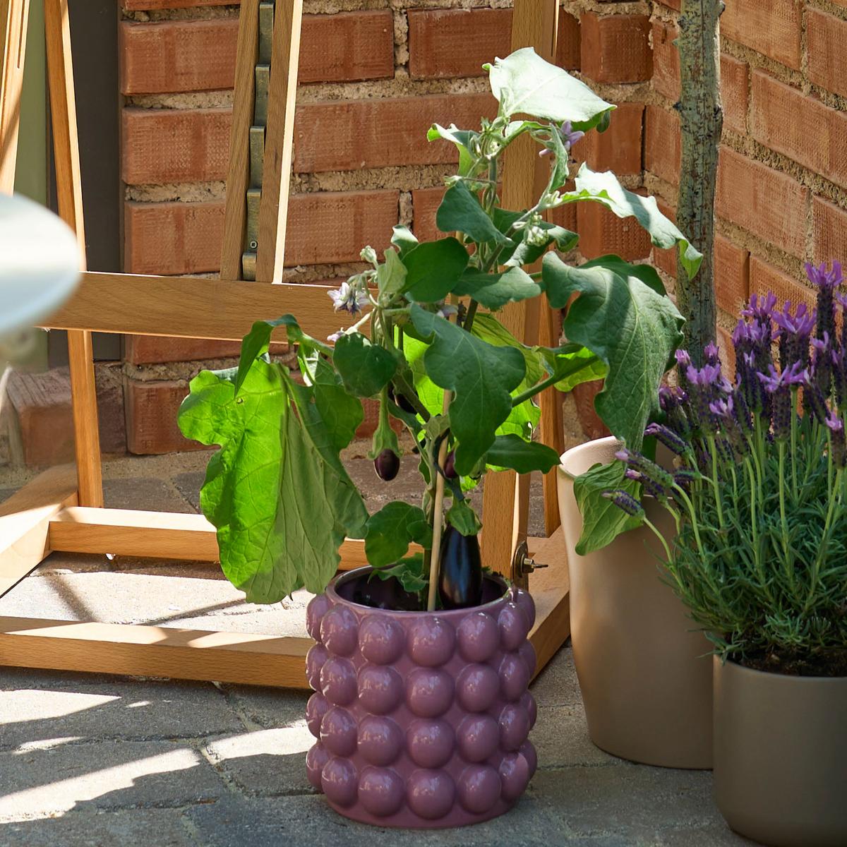 Blumentopf Holly Flieder - Flieder, MODERN, Keramik (15/15/15cm) - Mömax