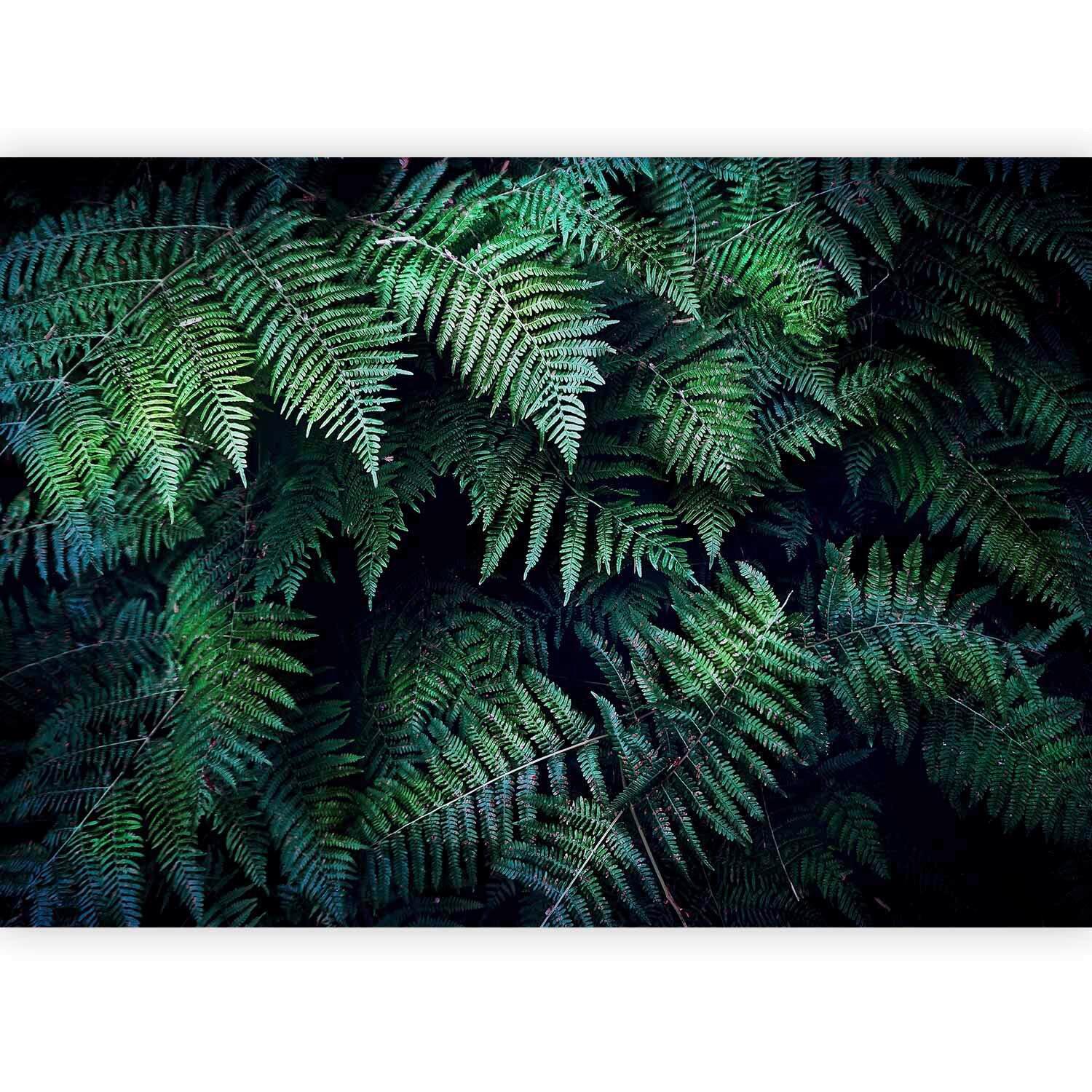Fototapeta In The Thicket, 450x315cm - črna/gozdno zelena, Trendi, tekstil (450/315cm) - artgeist
