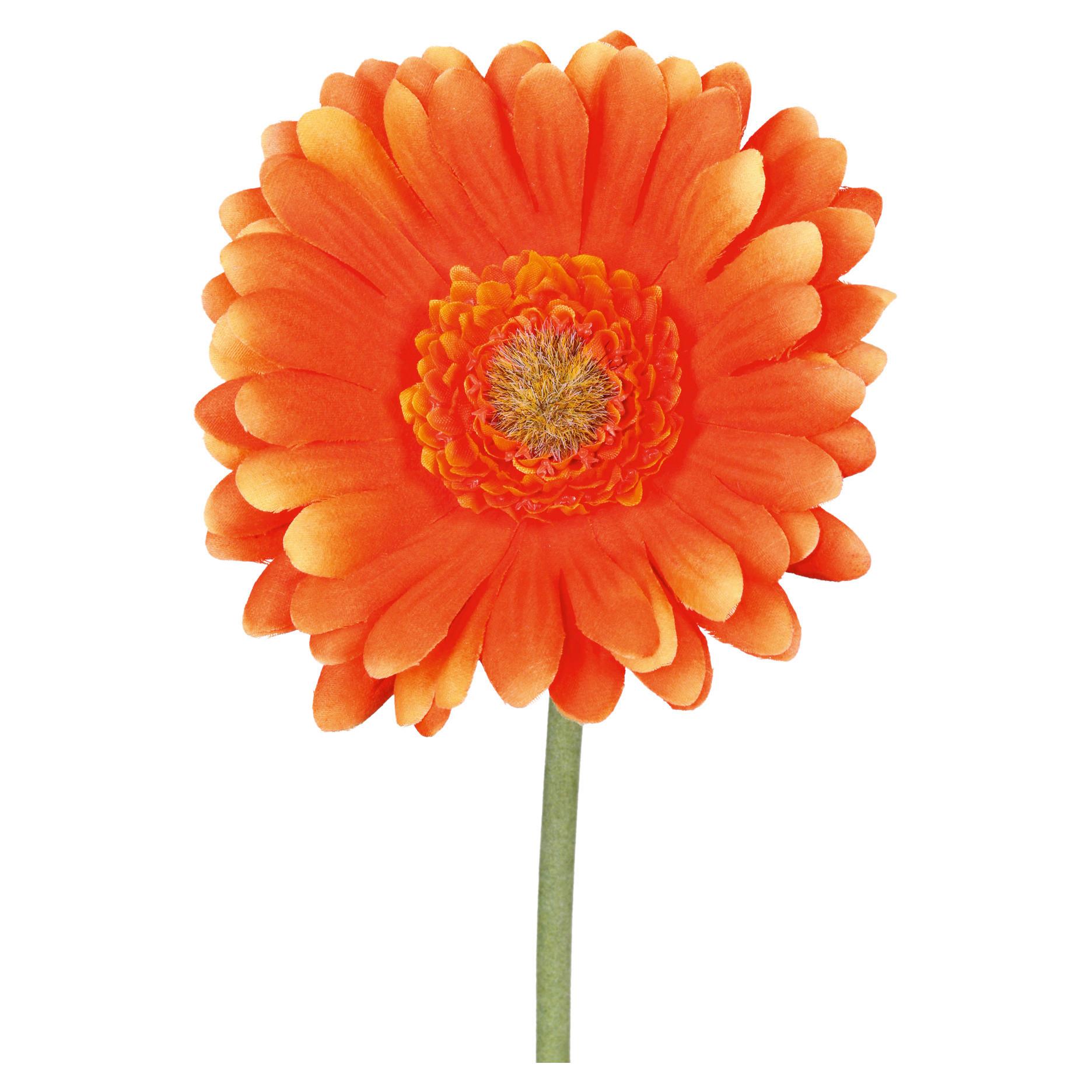 Kunstblume Gerbera I Orange/Grün - Orange/Grün, KONVENTIONELL, Kunststoff (50cm) - Mömax