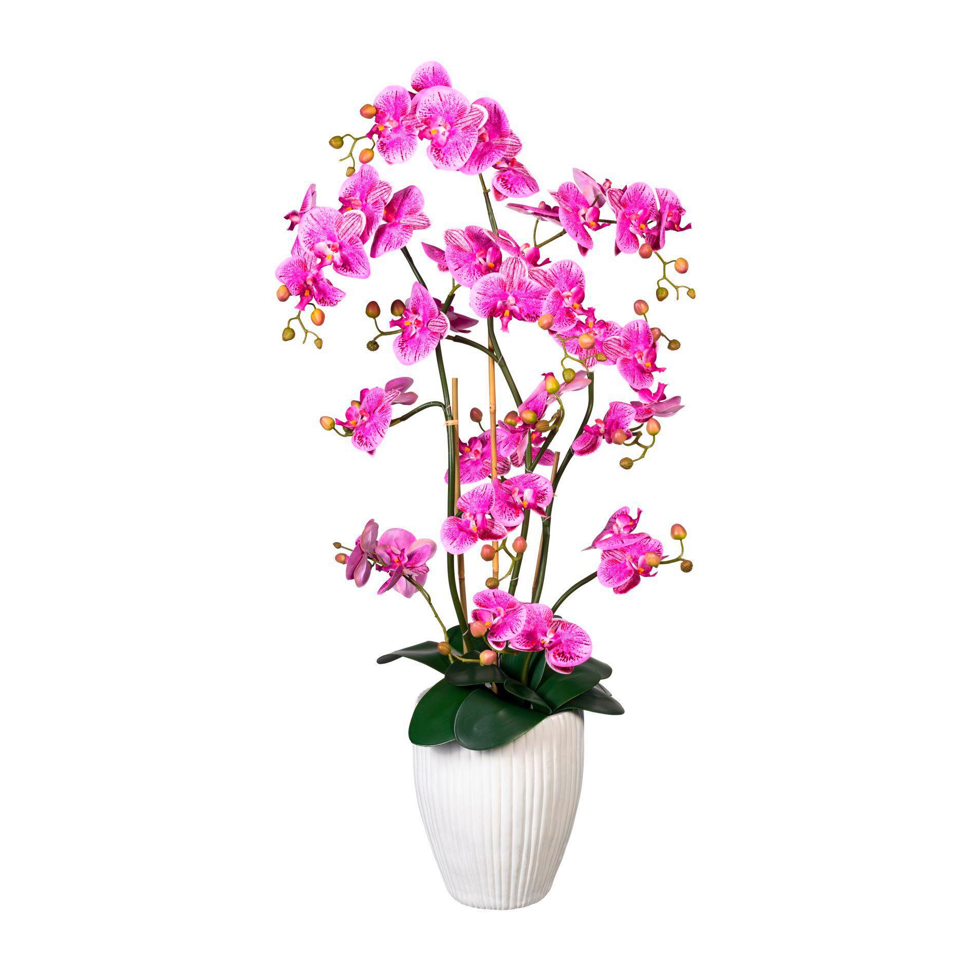 Kunstblume Orchidee - Lila/Braun, Trend, Keramik/Kunststoff (110cm) - P & B