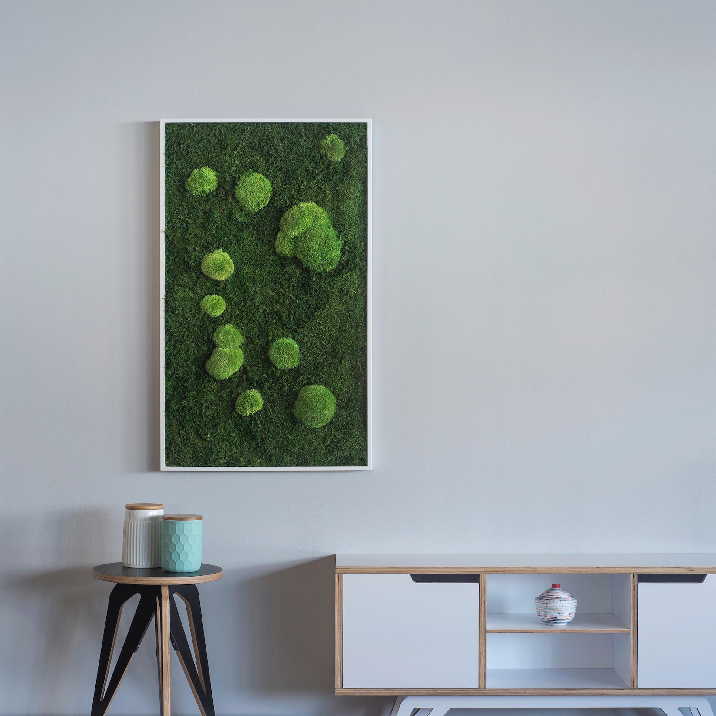 Moosbild Grün - Weiß/Grün, Basics, Naturmaterialien/Holz (100/60/7cm)
