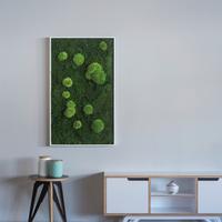 Moosbild Grün - Weiß/Grün, Basics, Naturmaterialien/Holz (100/60/7cm)