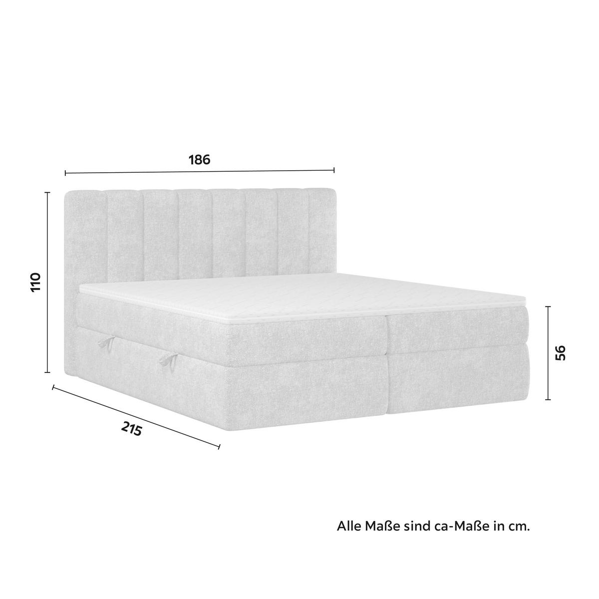 Boxbett Mala ca. 180x200 cm Hellgrau mit Topper - Hellgrau/Schwarz, MODERN, Holz/Holzwerkstoff (180/200cm) - Bessagi Home