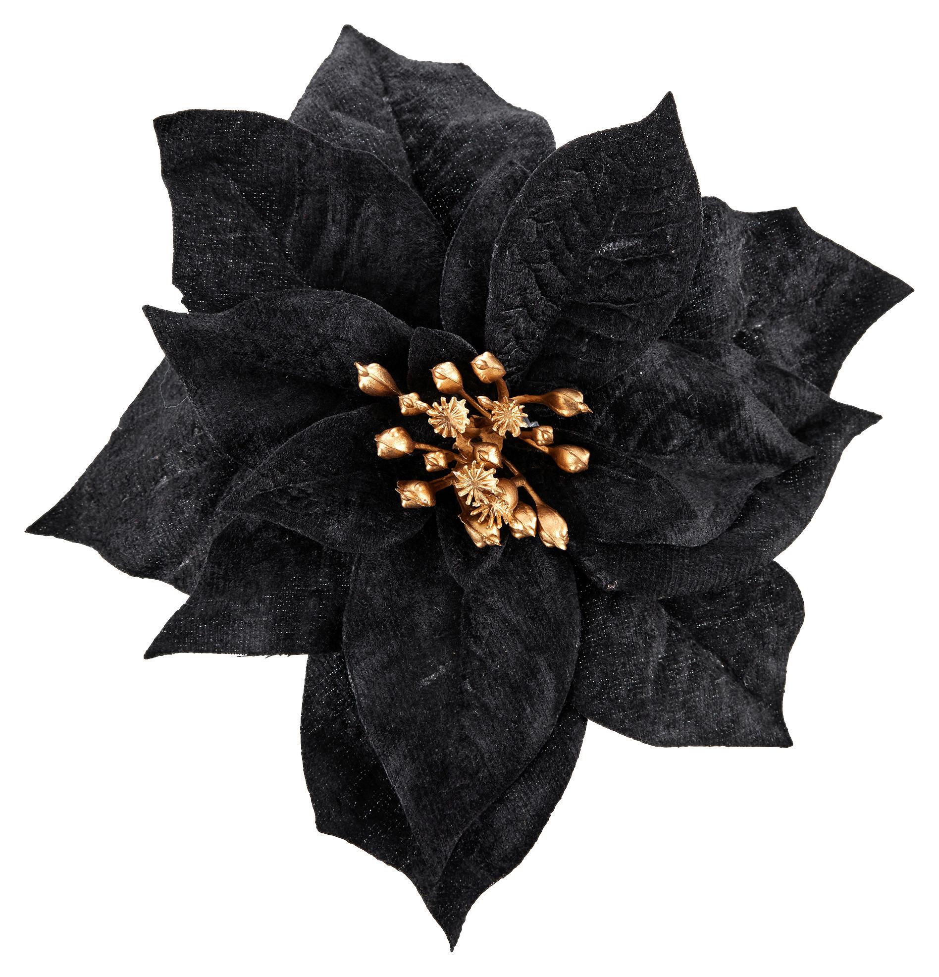 Okrasna Roža Poinsetienblüte I -Paz- - črna, Konvencionalno, umetna masa (18cm) - Modern Living