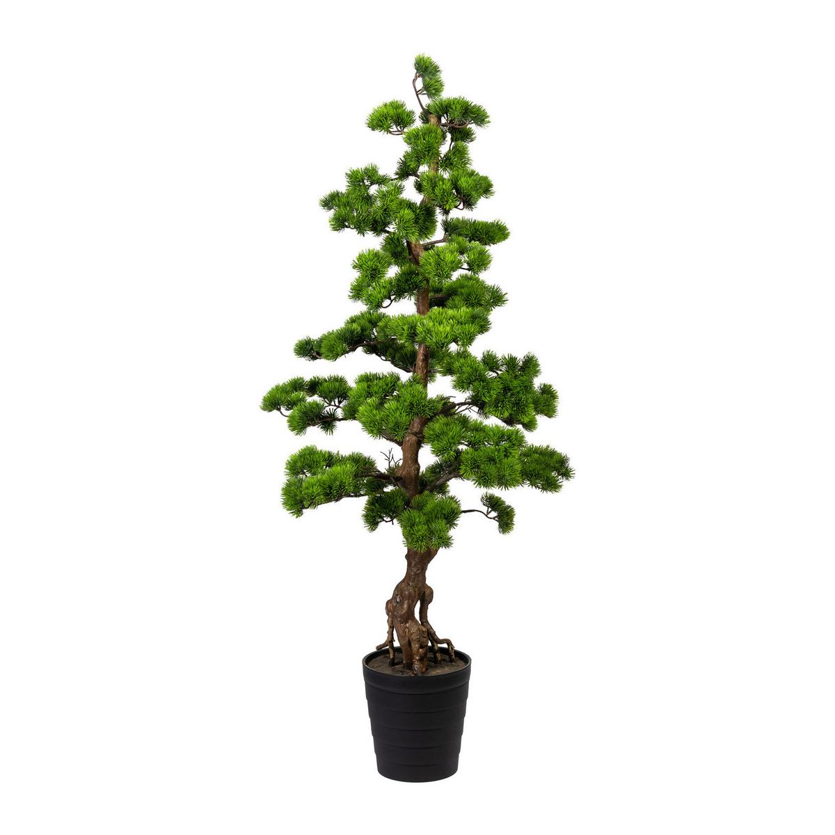 Bonsai 3320179LO-50 aus Kunststoff - Braun/Grün, Trend, Kunststoff (140cm) - P & B