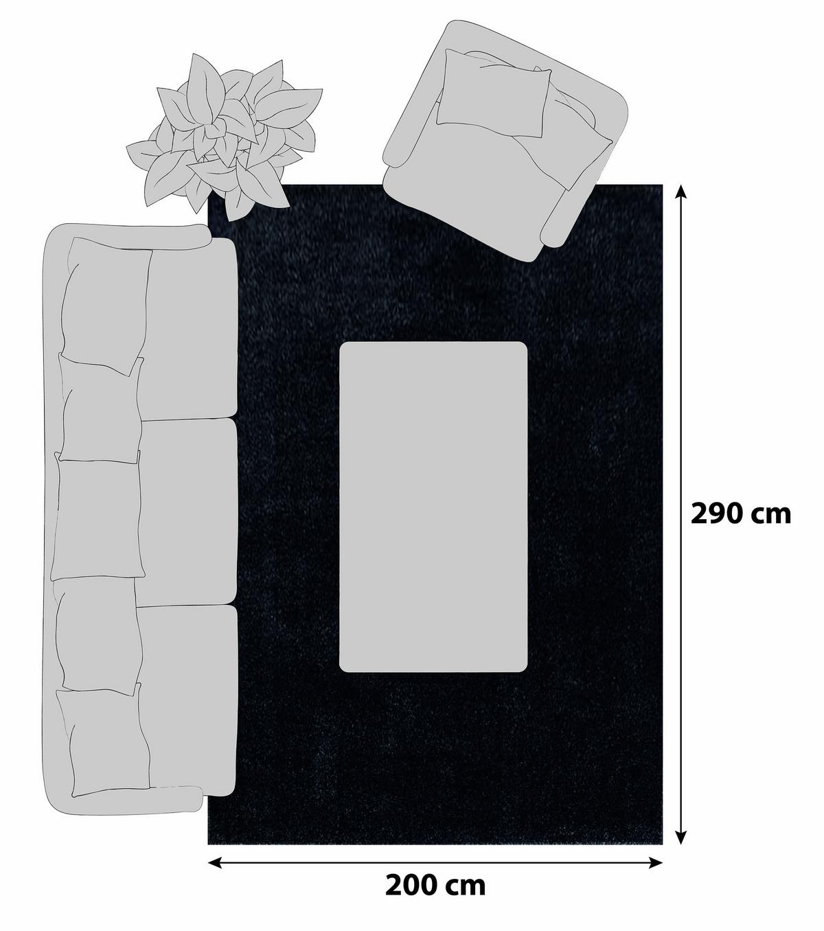 Preproga Z Visokim Florom Ata, Antracit, 200x290cm - antracit, Design, tekstil (200/290cm) - Novel