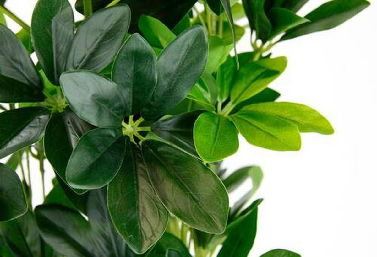 SZTUCZNA ROŚLINA 151558GN - zielony, Basics, tworzywo sztuczne/tkanina (80cm)