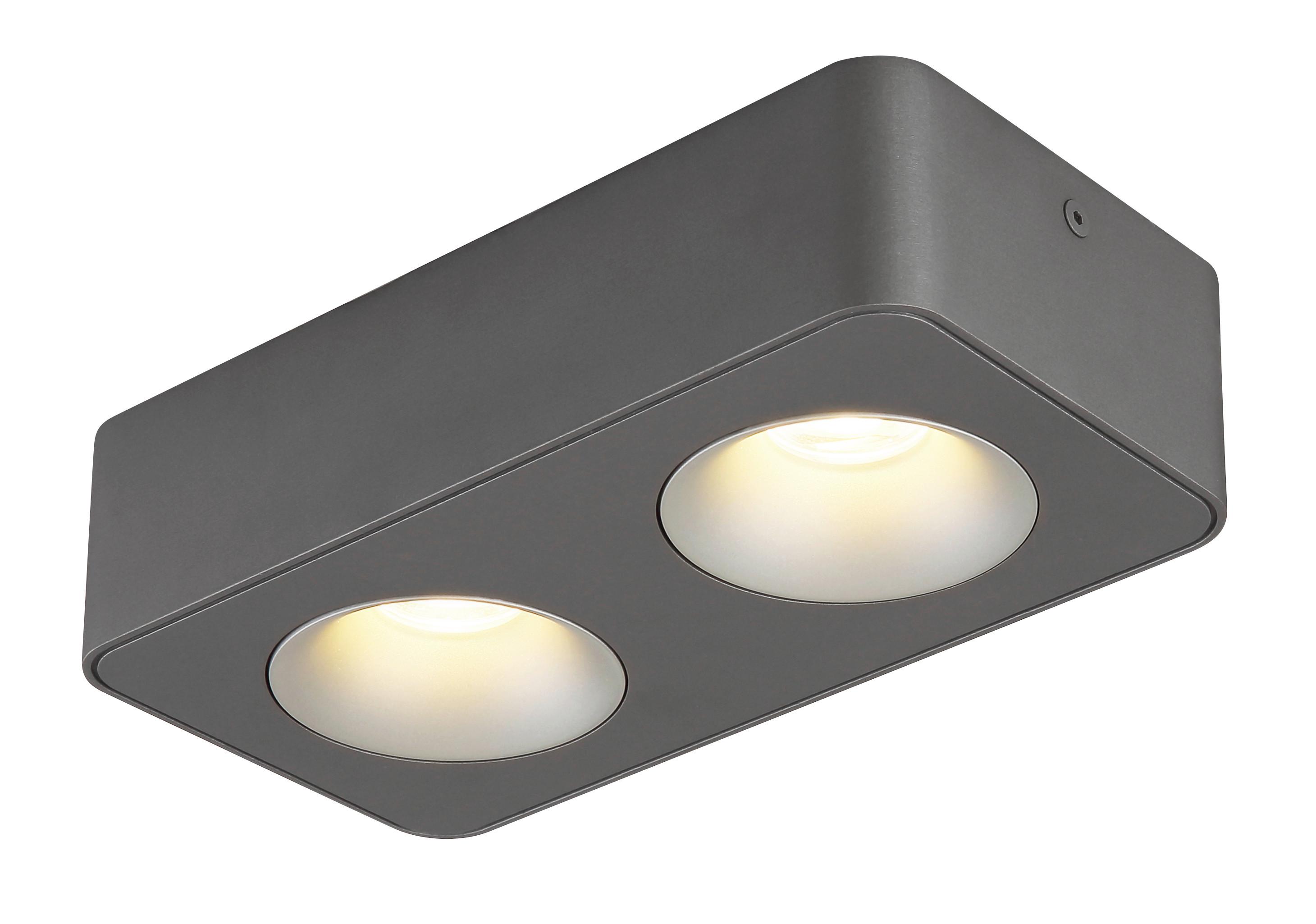 LED-STRAHLER 43100-2 - Klar/Dunkelgrau, Design, Kunststoff/Metall (22,4/11.7cm) - Globo