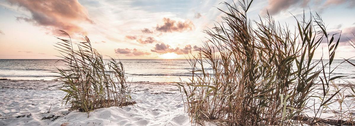 OBRAZ NA SZKLE GB-STM1151 - różnokolorowy, Natur, szkło (33/98/1,40cm) - Euroart