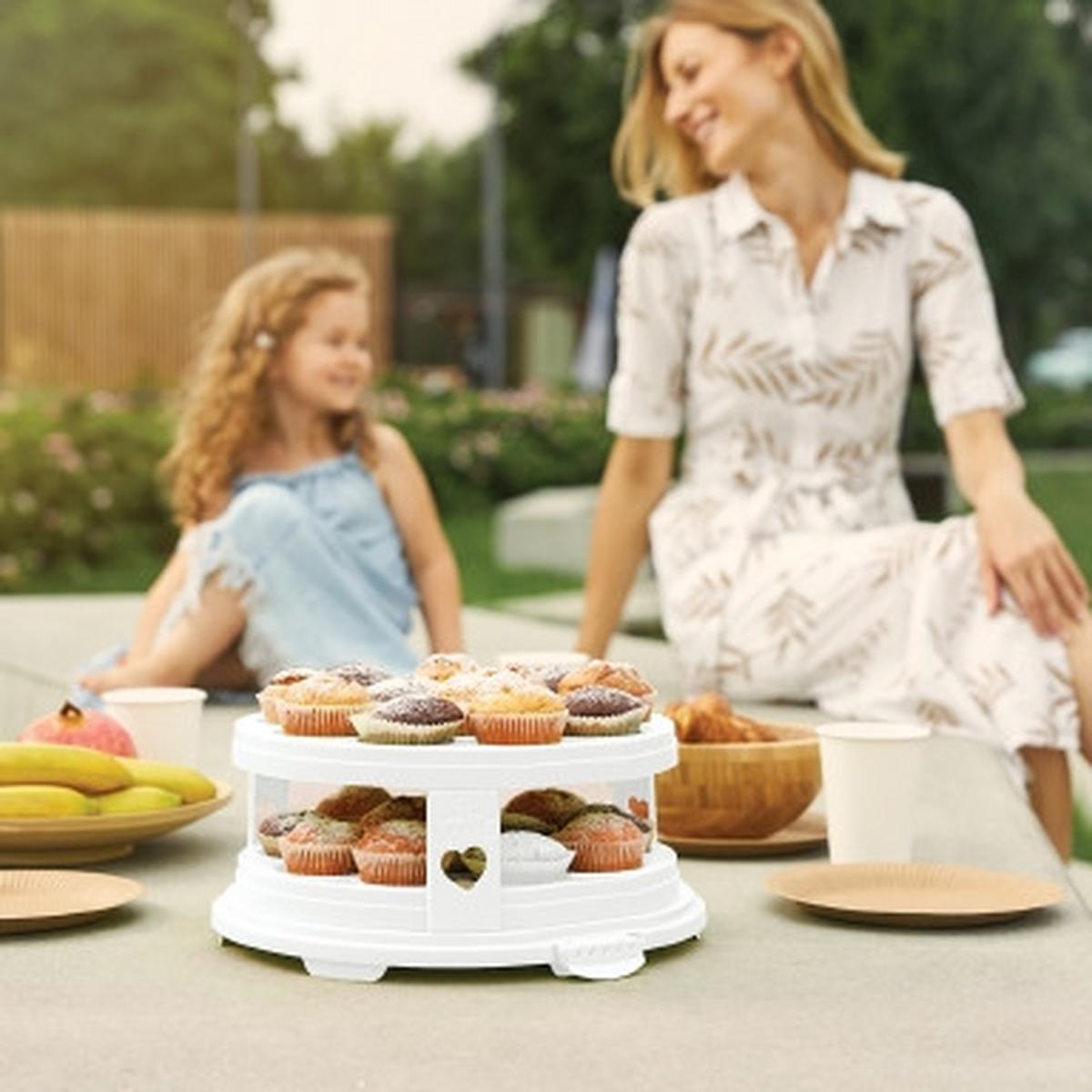 POJEMNIK DO TRANSPORTU CIASTA 1046001100 - biały/przezroczysty, Basics, tworzywo sztuczne (35,5/34,5/26cm) - Rotho