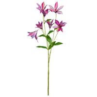 Dekozweig Clematis I Pink/Grün - Pink/Grün, KONVENTIONELL, Kunststoff (84cm) - Mömax