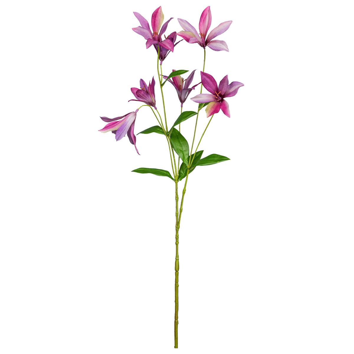 Dekozweig Clematis I Pink/Grün - Pink/Grün, KONVENTIONELL, Kunststoff (84cm) - Mömax