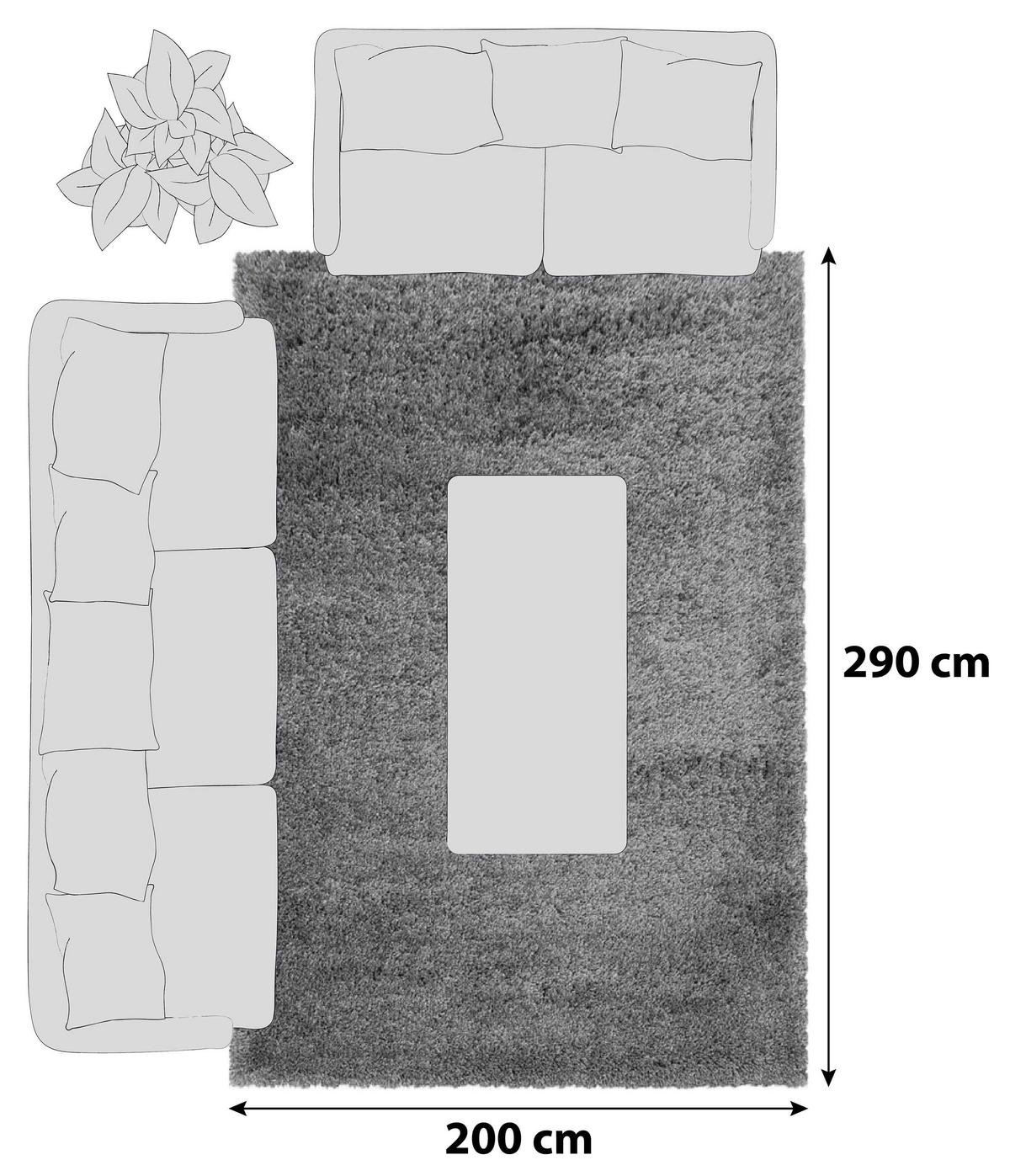 Preproga Fluffy, 200x290cm, Svetlo Siva - svetlo siva, Basics, tekstil (200/290cm)