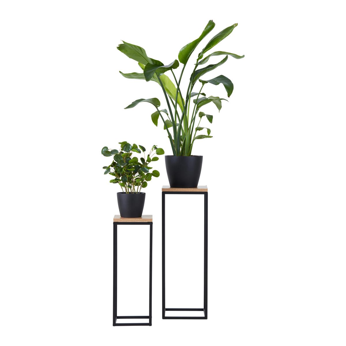 Blumensäulen-Set Watford in Schwarz/Eichefarben - Eichefarben/Schwarz, Modern, Holzwerkstoff/Metall (19-23/54-67/19-23cm) - Mömax