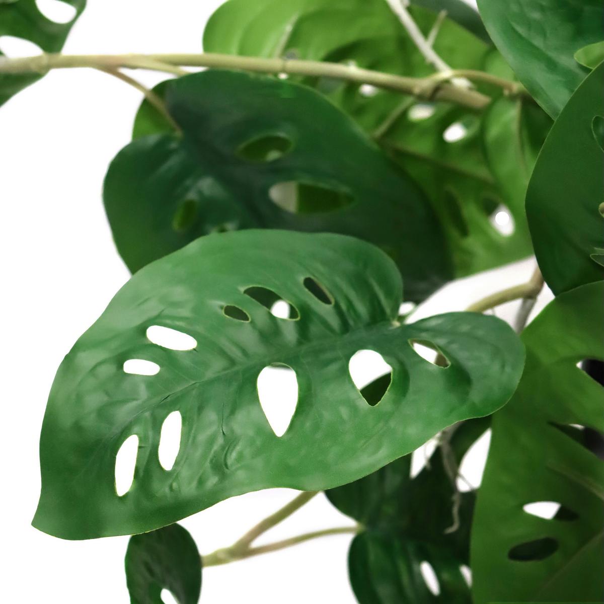Umetna Rastlina Monstera Climb - črna/zelena, Moderno, umetna masa (75/100/63cm) - MID.YOU