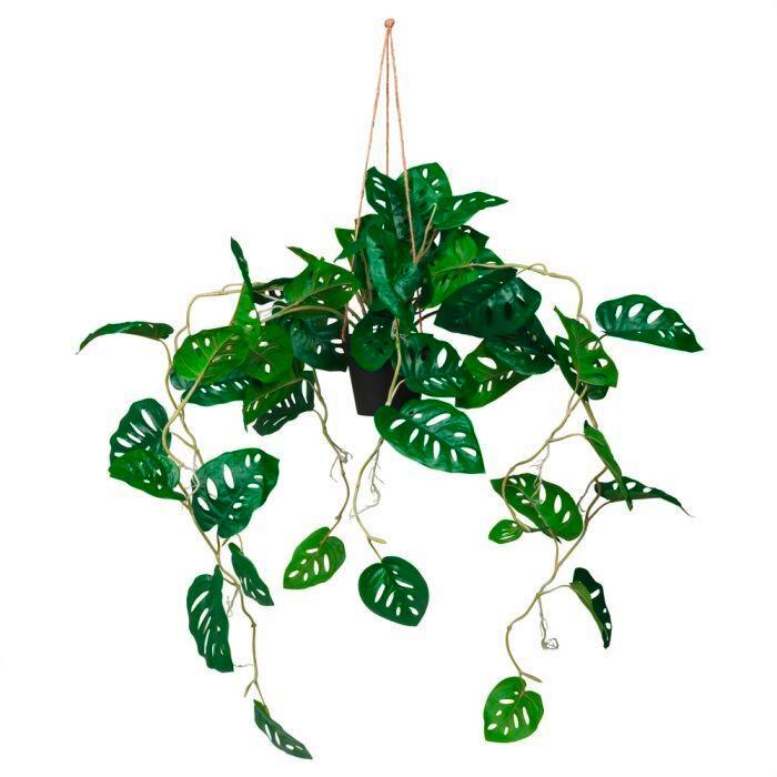 Umetna Rastlina Monstera Climb - črna/zelena, Moderno, umetna masa (75/100/63cm) - MID.YOU