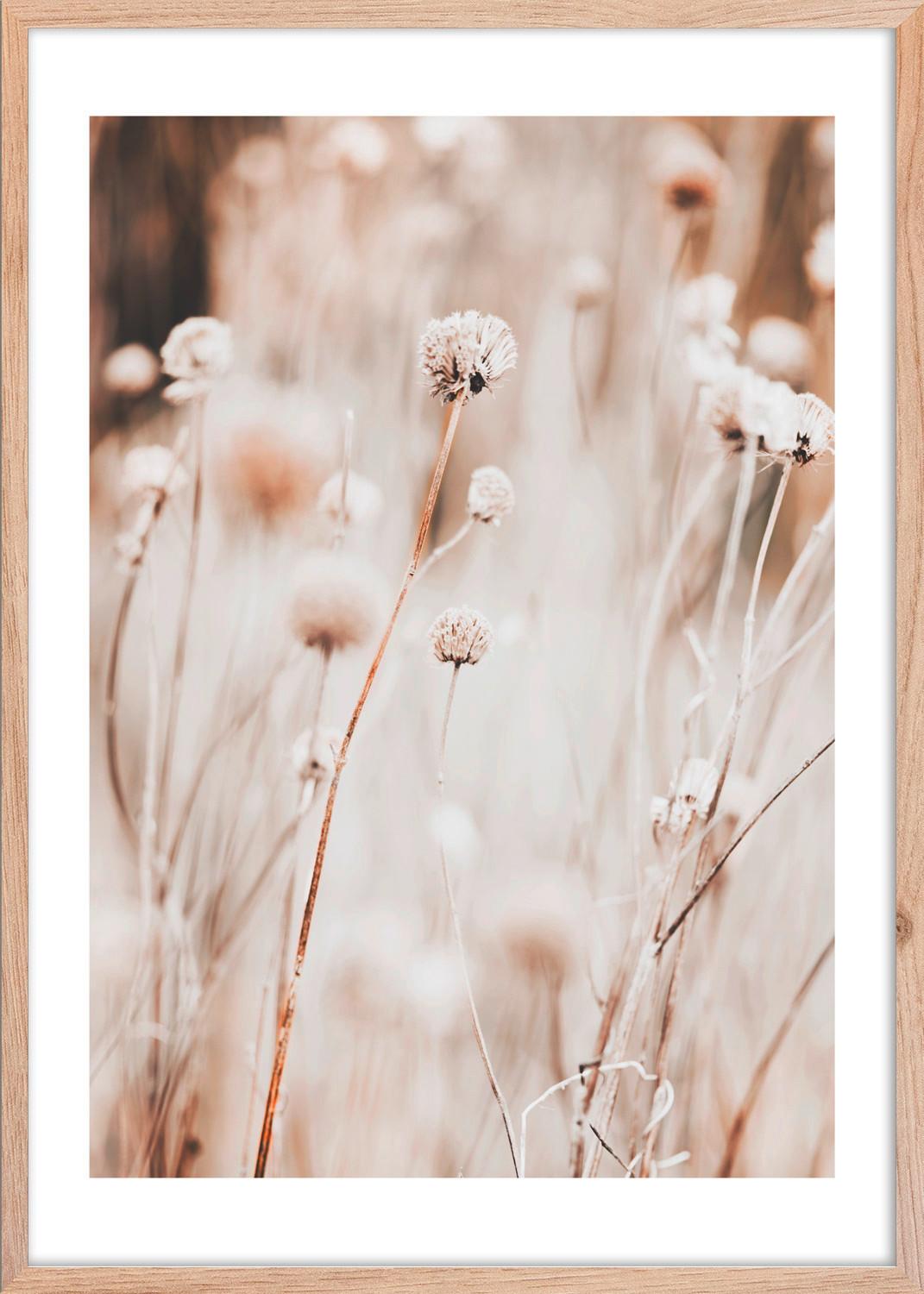 Bild Image ca. 50x70cm - Hellbraun/Beige, Holzwerkstoff/Papier (50/70cm) - Mömax