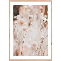 Bild Image ca. 50x70cm - Hellbraun/Beige, Holzwerkstoff/Papier (50/70cm) - Mömax