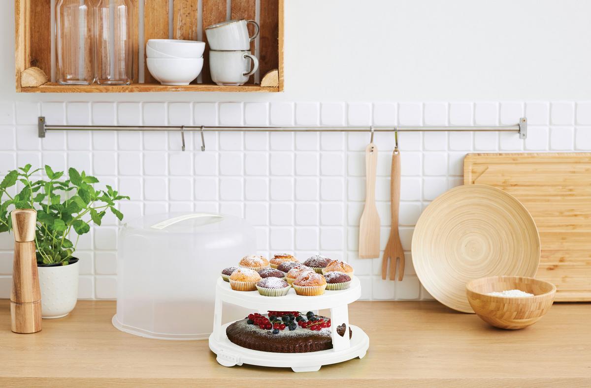 POJEMNIK DO TRANSPORTU CIASTA 1046001100 - biały/przezroczysty, Basics, tworzywo sztuczne (35,5/34,5/26cm) - Rotho