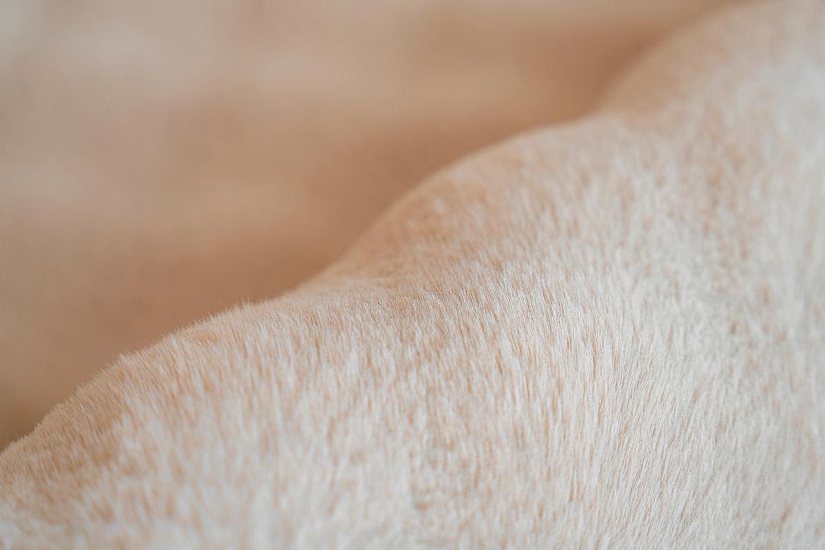 HOCHFLORTEPPICH HAILEY 125 CREME 160 X 230 CM - Creme, Basics, Textil (160/230cm) - Kayoom