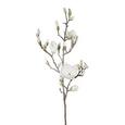 Umetna Rastlina Magnolie Geeist I - bela/rjava, kovina/umetna masa (103cm) Umetna Rastlina Magnolie Geeist I - bela/rjava, kovina/umetna masa (103cm)