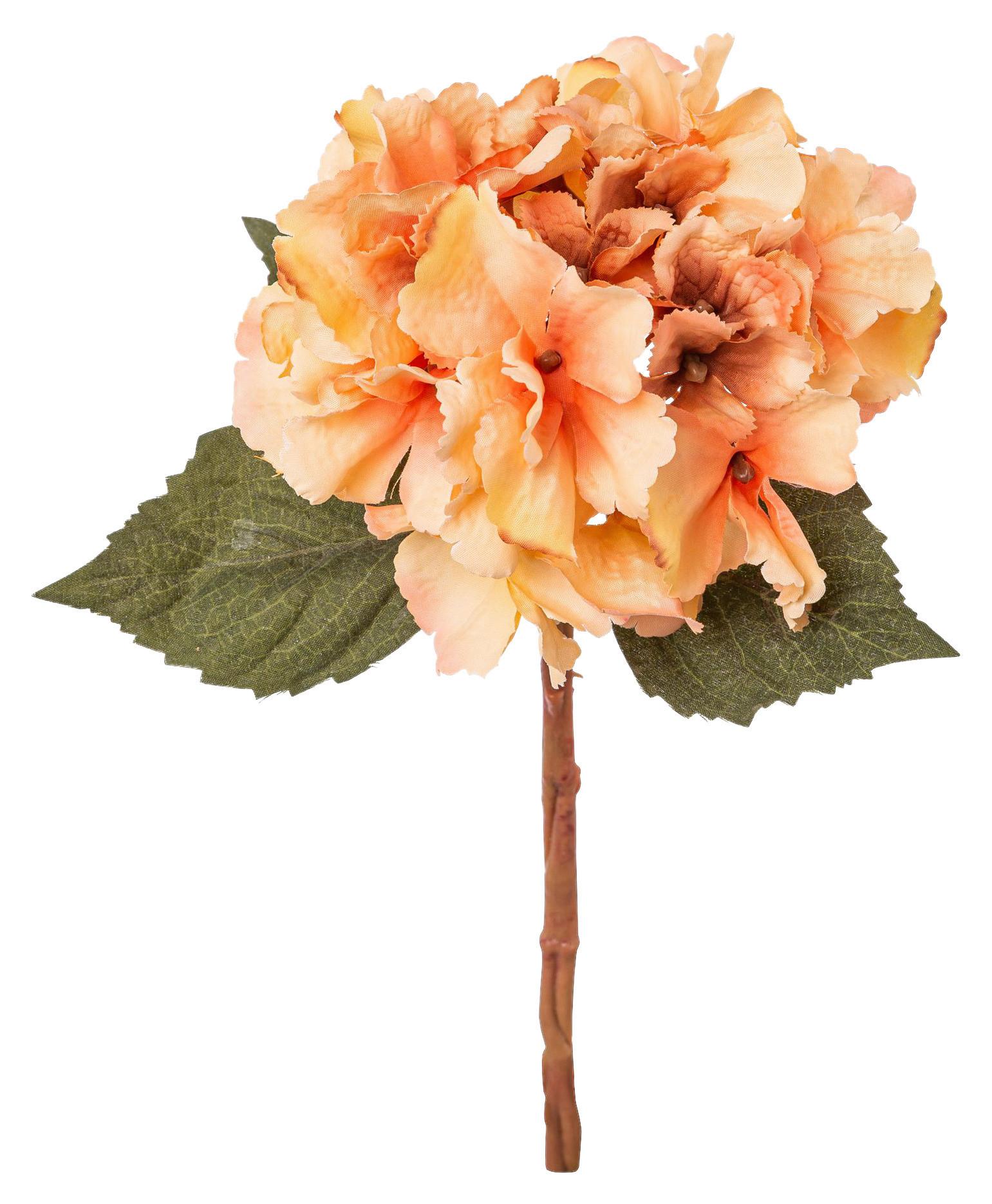 Műnövény Hortenzia - konyak, Konventionell, műanyag (33cm) - Modern Living