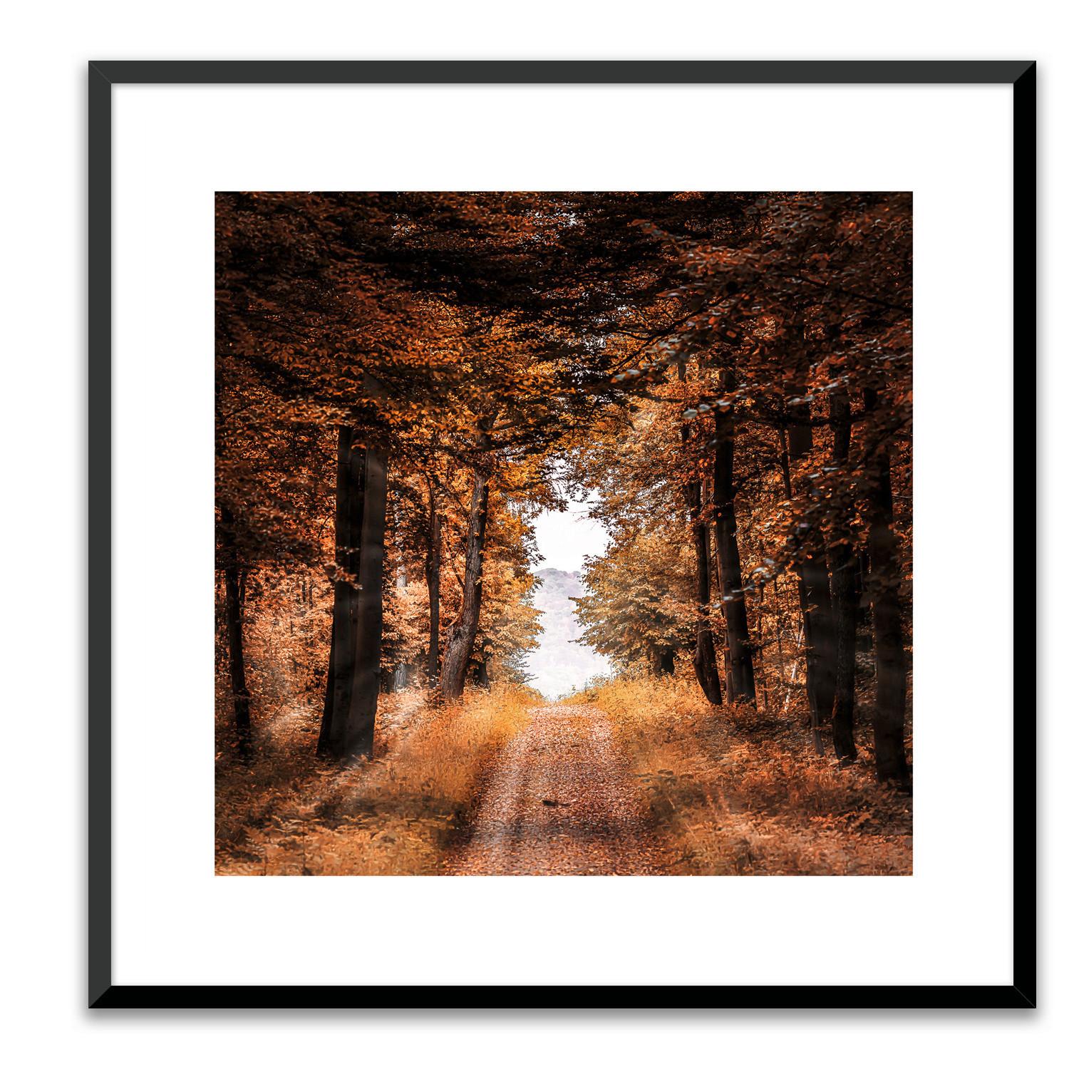 Bild Elena ca. 50x50cm - Dunkelbraun/Braun, Holzwerkstoff/Papier (50/50cm) - Modern Living