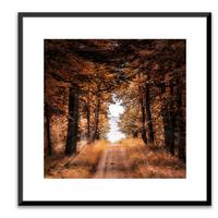 Bild Elena ca. 50x50cm - Dunkelbraun/Braun, Holzwerkstoff/Papier (50/50cm) - Modern Living