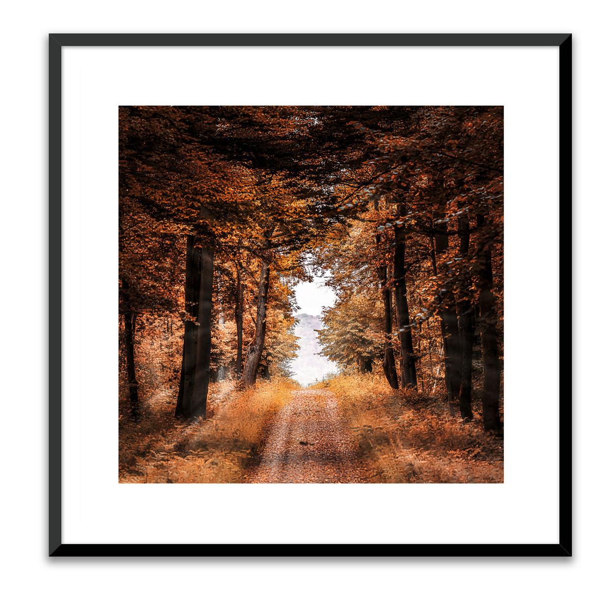 Bild Elena ca. 50x50cm - Dunkelbraun/Braun, Holzwerkstoff/Papier (50/50cm) - Modern Living