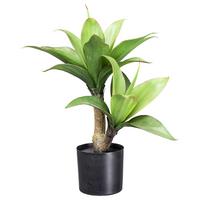 Kunstpflanze Sukkulenten Grün/Braun - Schwarz/Braun, Design, Kunststoff (45cm)