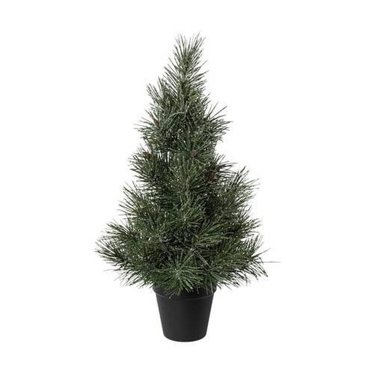 Műfenyő Kaspóban Kiefer - barna/fekete, Natur, műanyag (50cm)