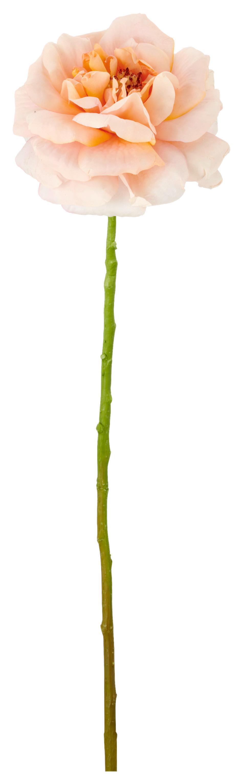 Rose Rosa ca. 63cm - Rosa/Grün, Basics, Kunststoff/Textil (63cm) - Mömax